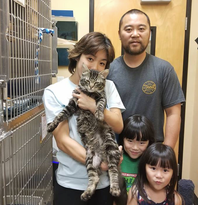 Cats Sage and Spartan find new homes – City of Costa Mesa News